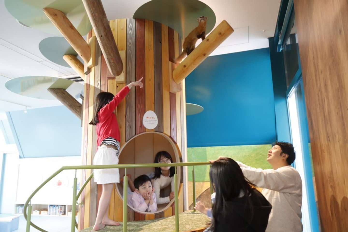 巣穴にこもれる「すごもり島」