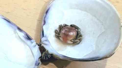 「うっかり食ったら歯が欠けそう」「予想外すぎる」　ハマグリの中から出てきた〝異物〟に3.3万人驚がく