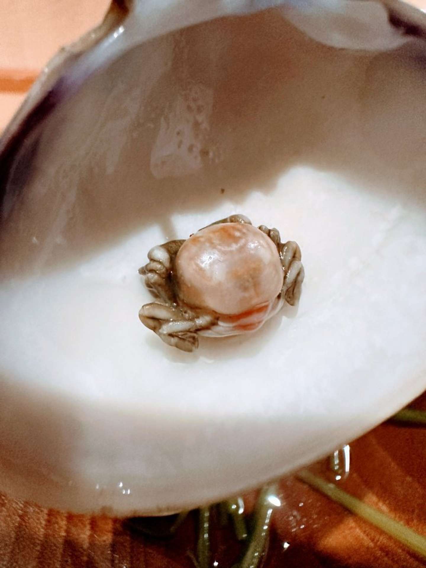 どちらさま！？（画像はゆかりちゃん＠yukaric03886076さんの投稿より）