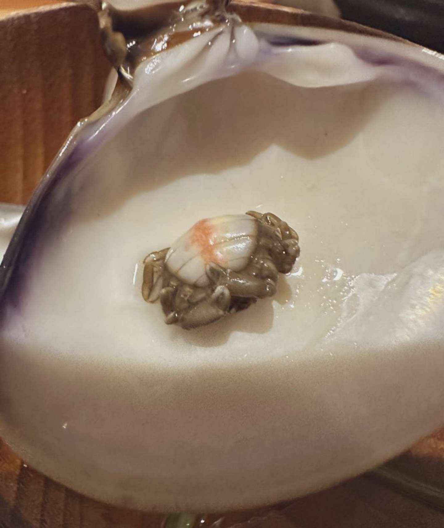 裏返すとこんな感じ（画像はゆかりちゃん＠yukaric03886076さんの投稿より）