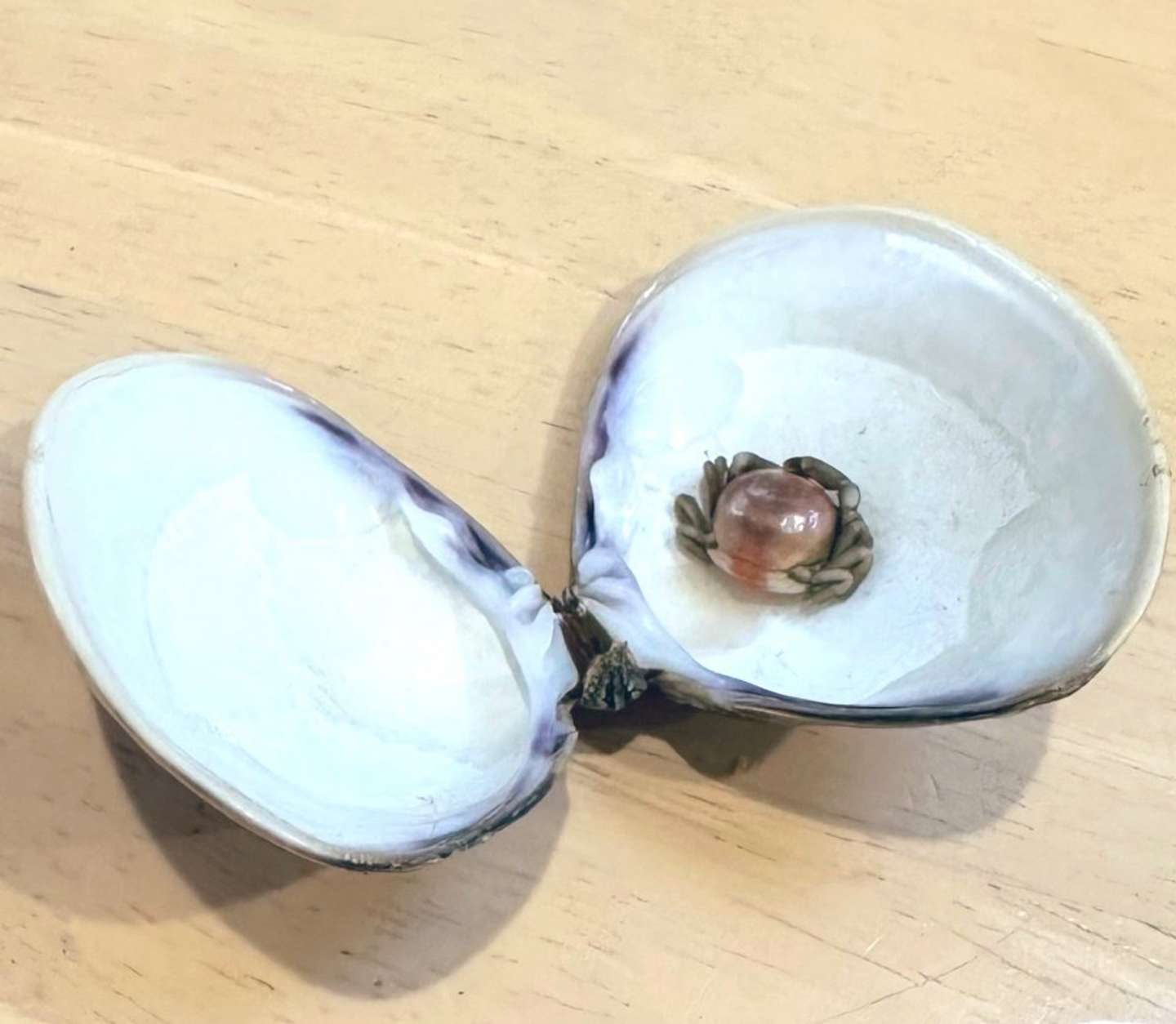 この後埋葬された（画像はゆかりちゃん＠yukaric03886076さんの投稿より）