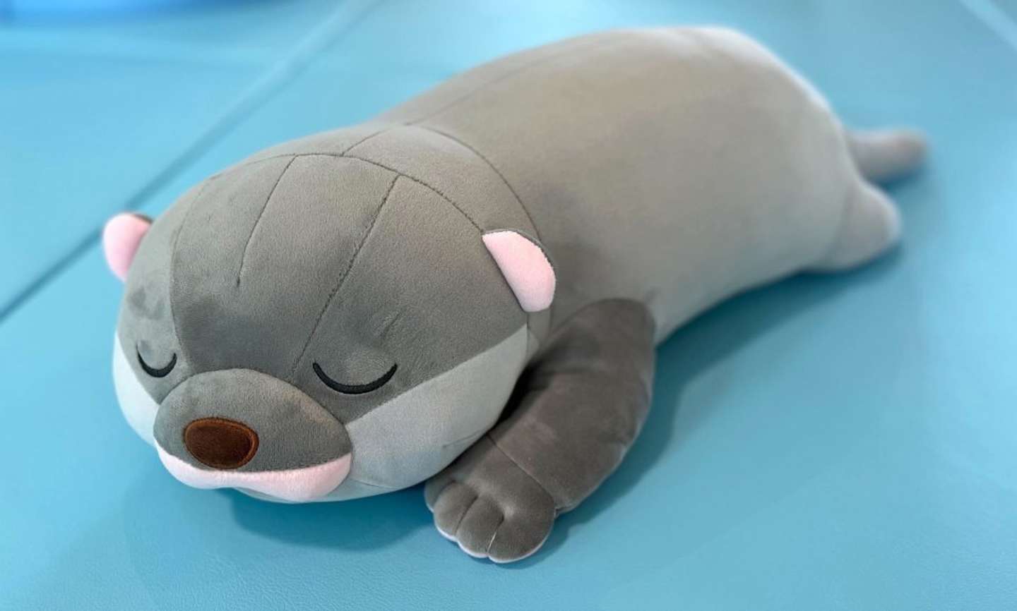 ユーラシアカワウソの赤ちゃん　大きさ約70cm