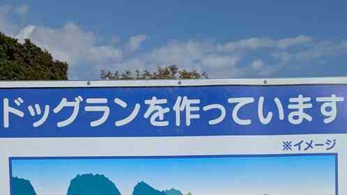 柴犬ひなた＠shibadog_hinataさんの投稿より