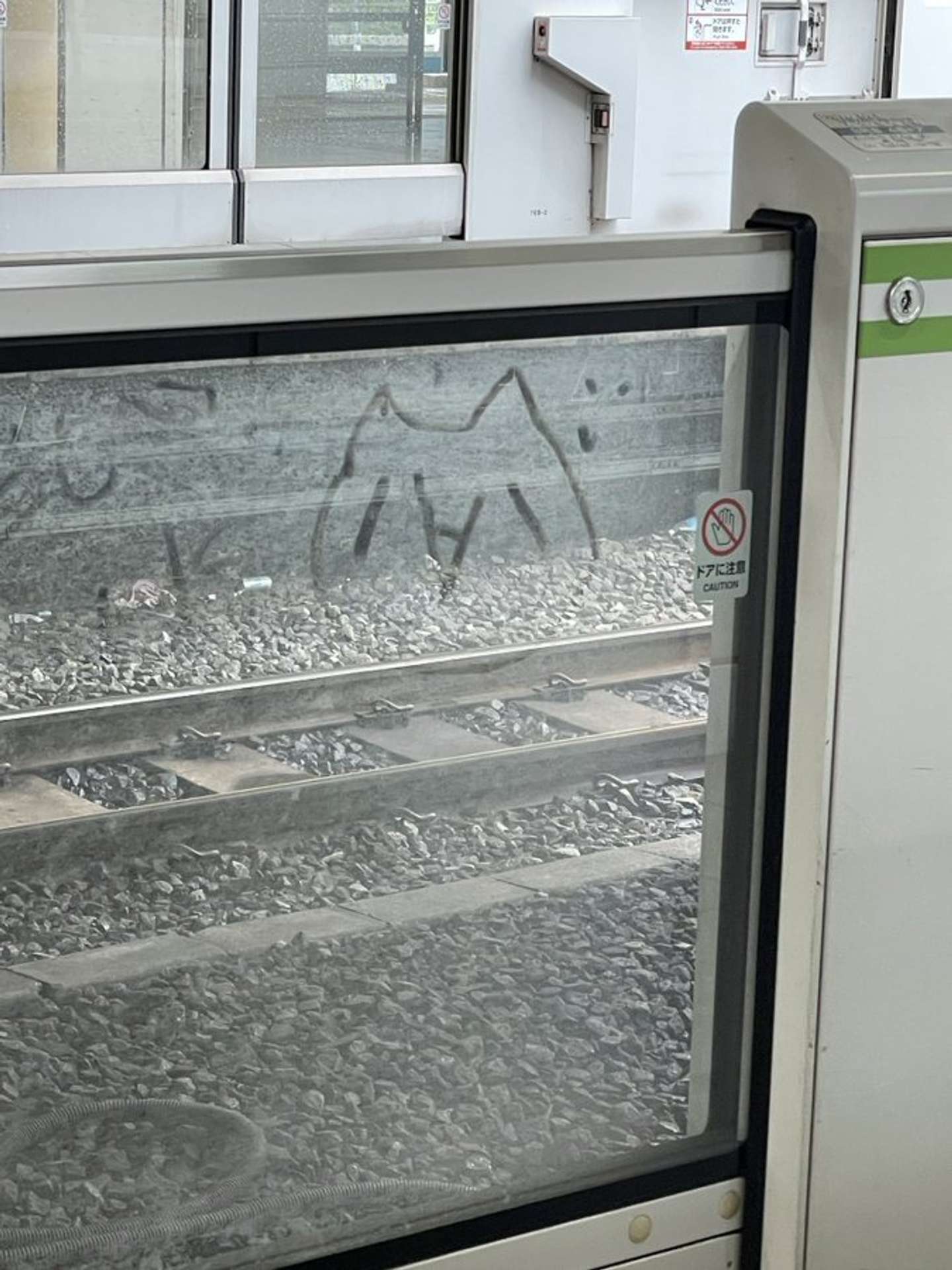 画像はぐま（＠gumaguma228）さんの投稿より