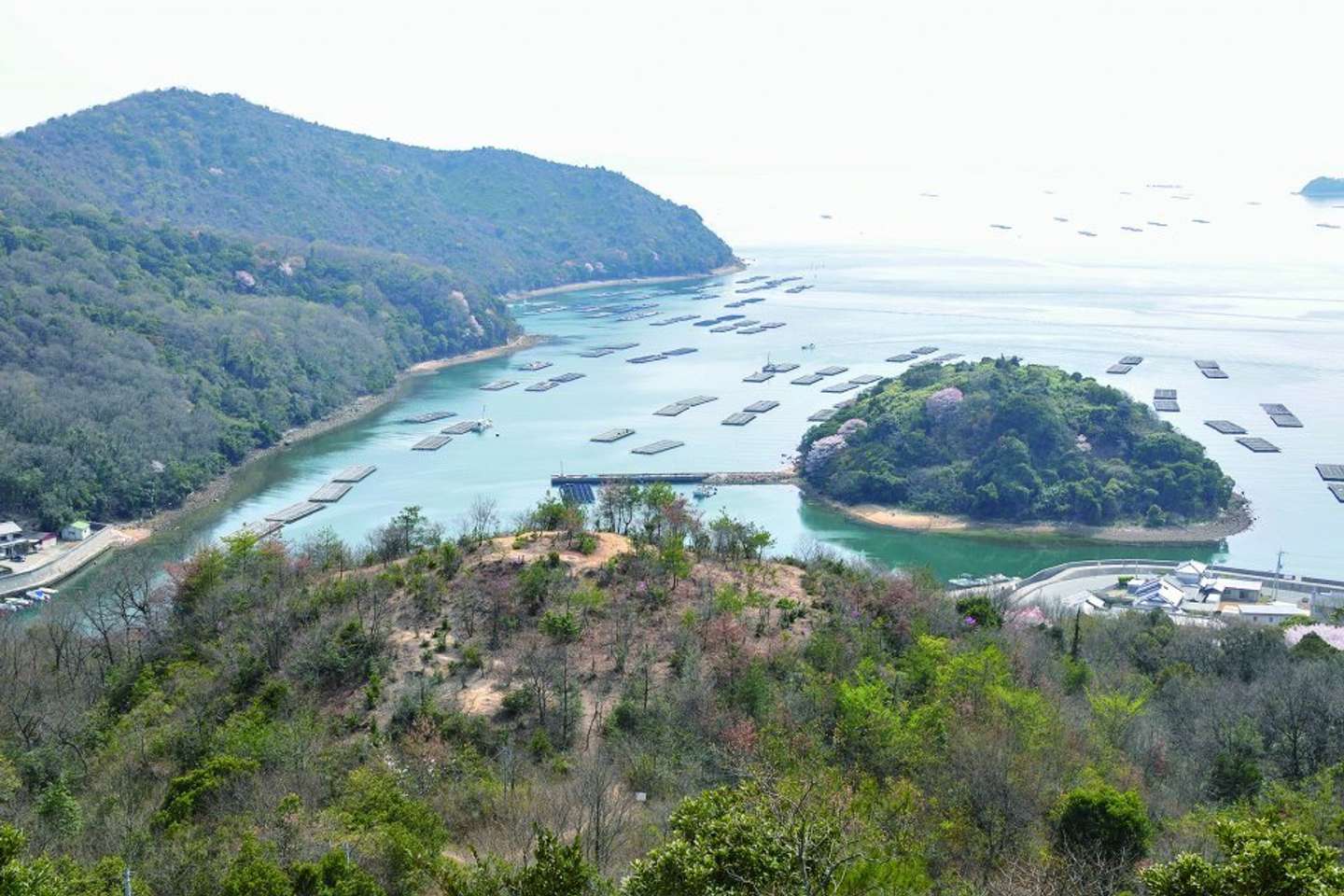 みかんのへた山古墳（画像提供：赤穂市教育委員会）