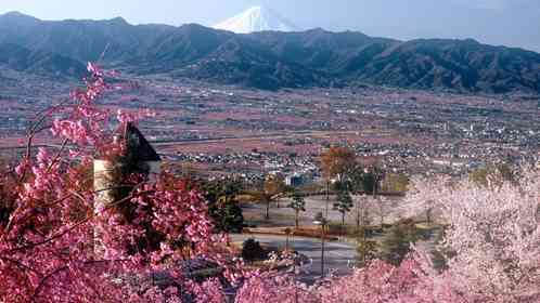 画像はプレスリリースより