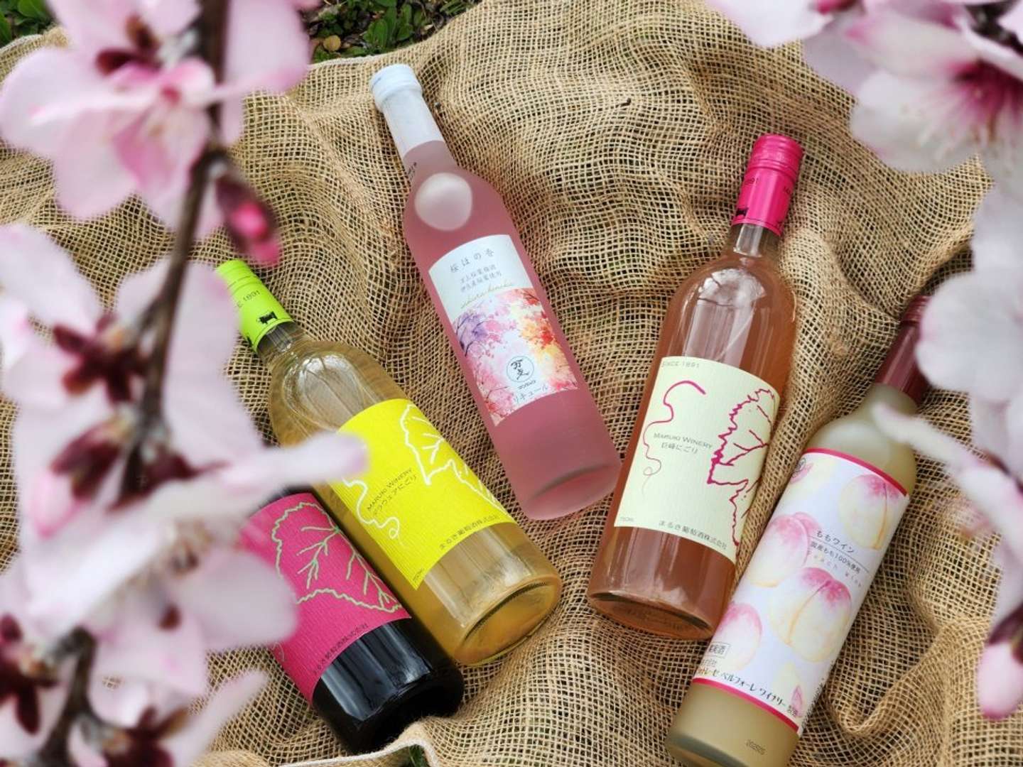 山梨県産ワイン（画像はプレスリリースより）