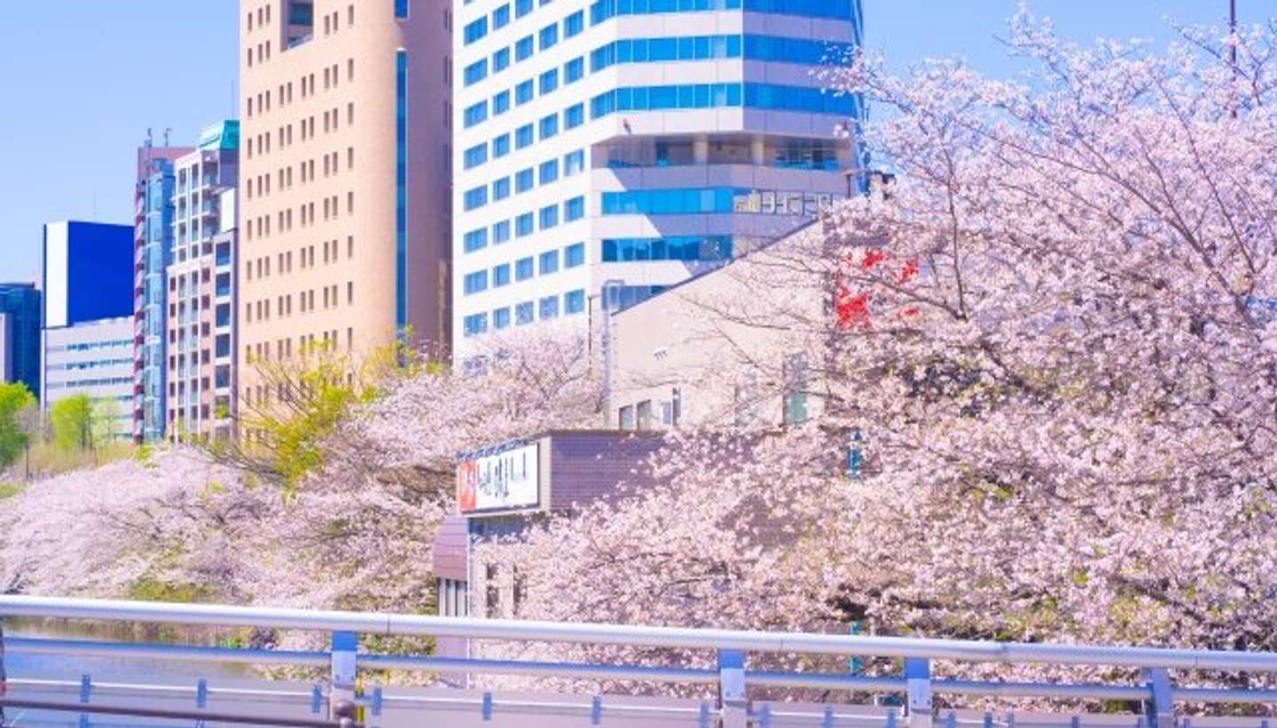 市ヶ谷から飯田橋まで歩いて、「外濠公園」でのお花見を先にしちゃうのもアリかも！？（写真はphotoACより）