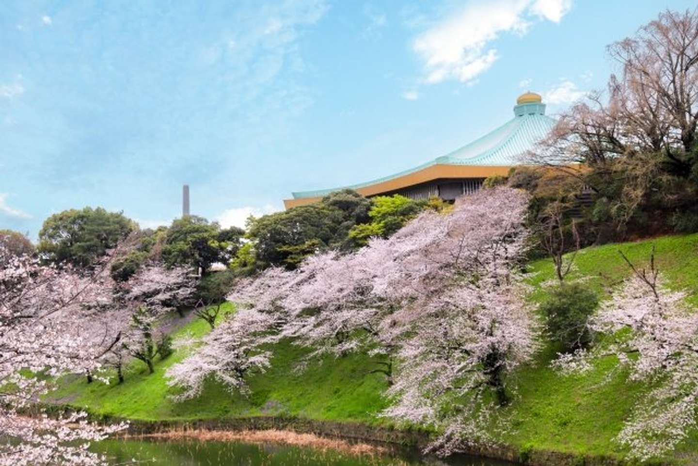 「北の丸公園」では日本武道館と桜のコラボも（写真はphotoACより）