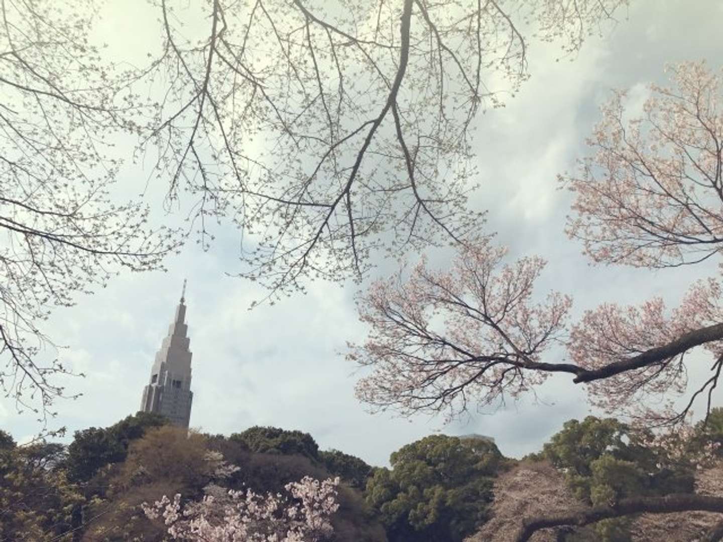 「新宿御苑」は新宿の真ん中とは思えない落ち着いた雰囲気（画像はphotoACより）