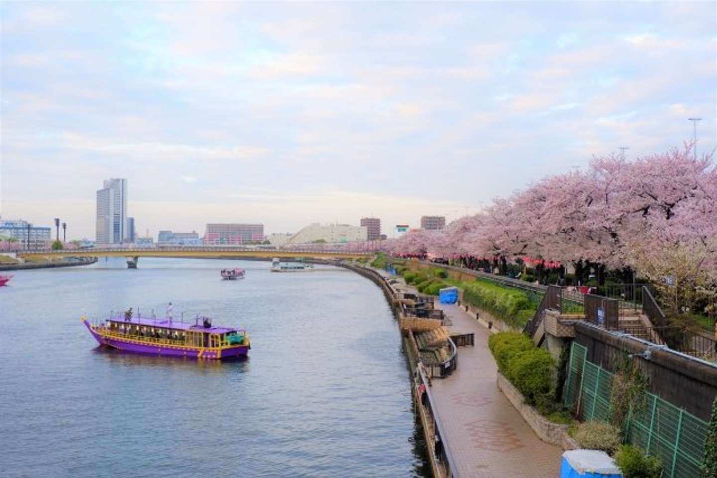 下町ならではのゆったりとした雰囲気の「隅田公園」（画像はphotoACより）