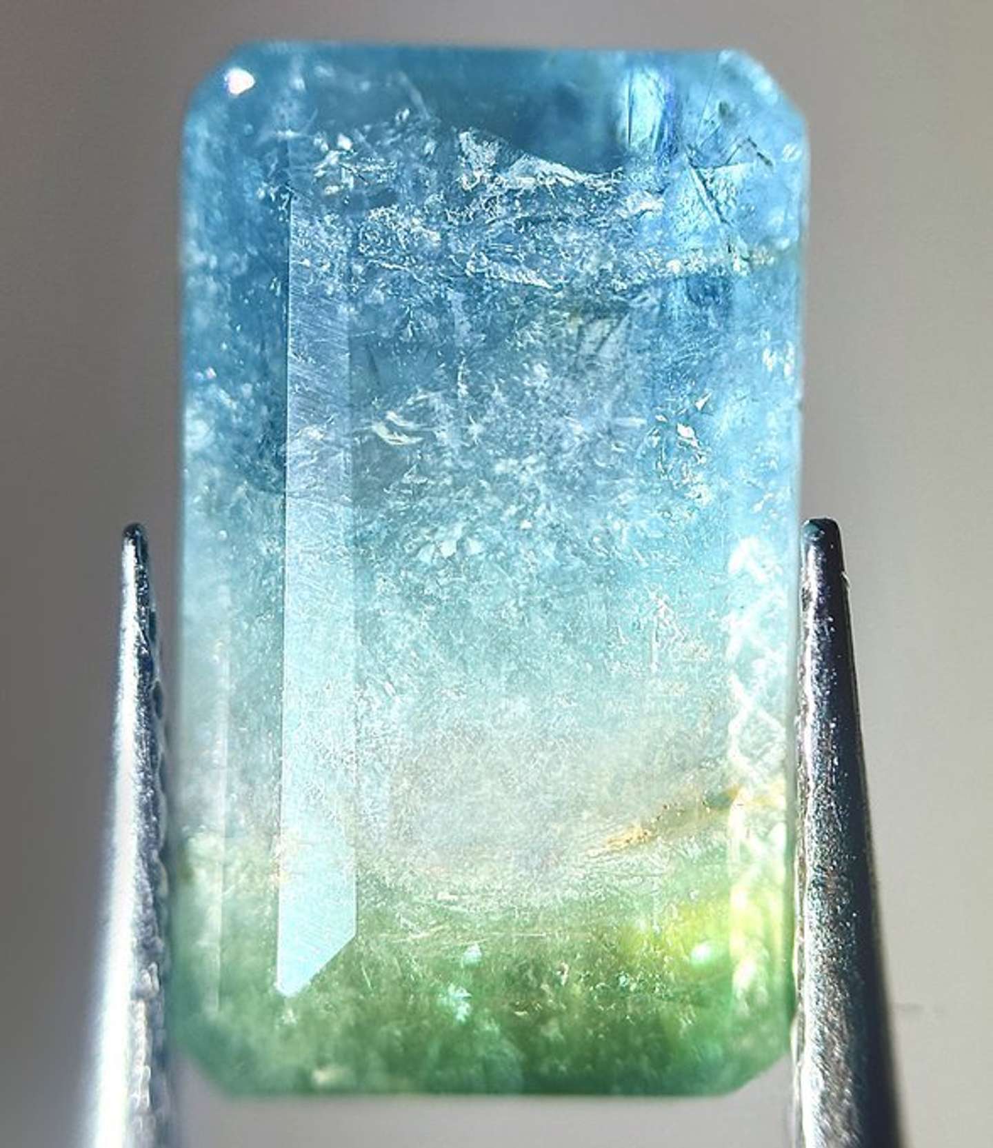 ろこ（＠roko_o64）さんの投稿より