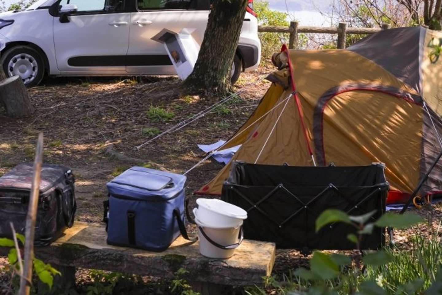 キャンプ場での出会い（画像はphotoAC）