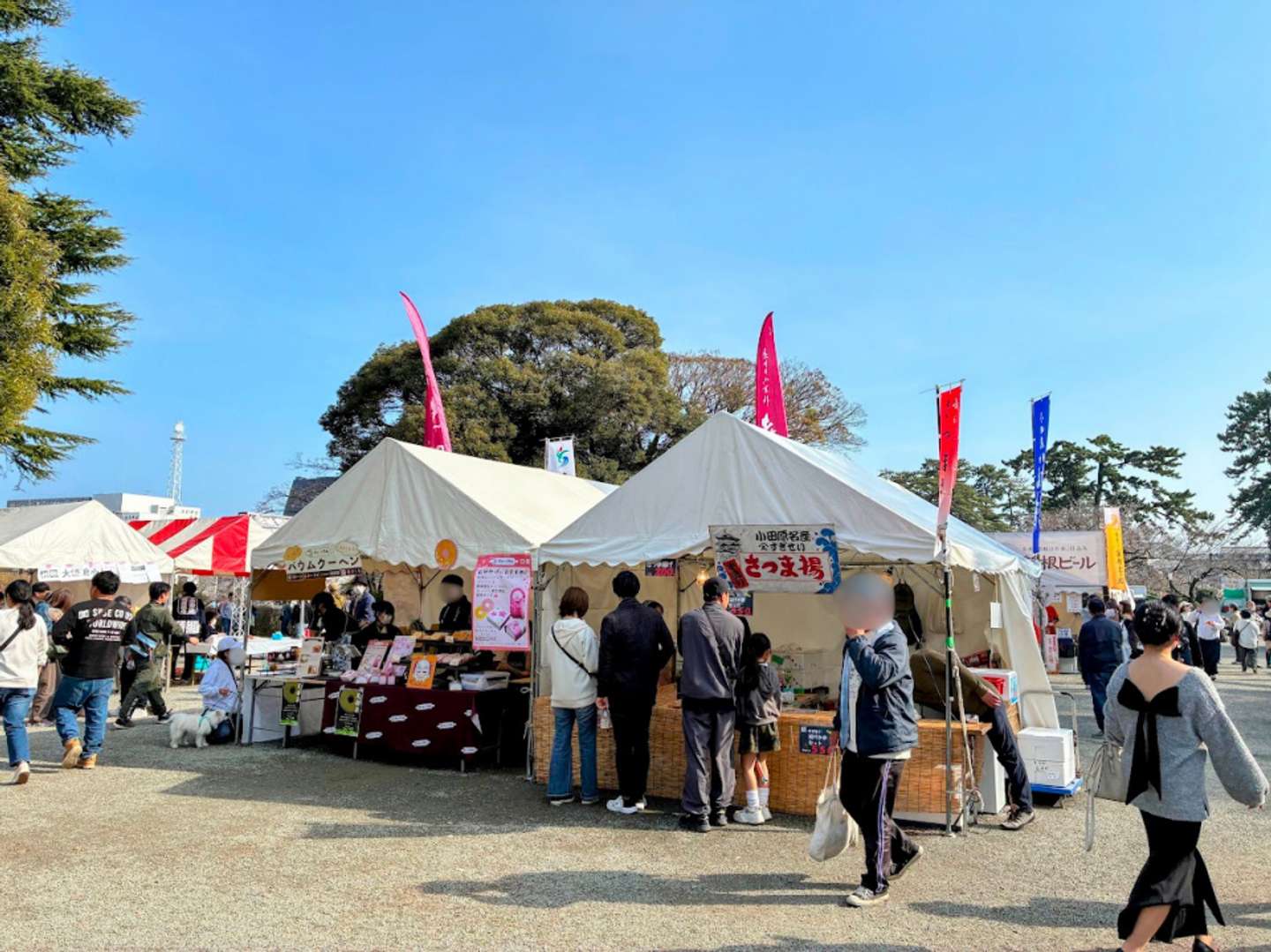 小田原ならではの出店がずらり