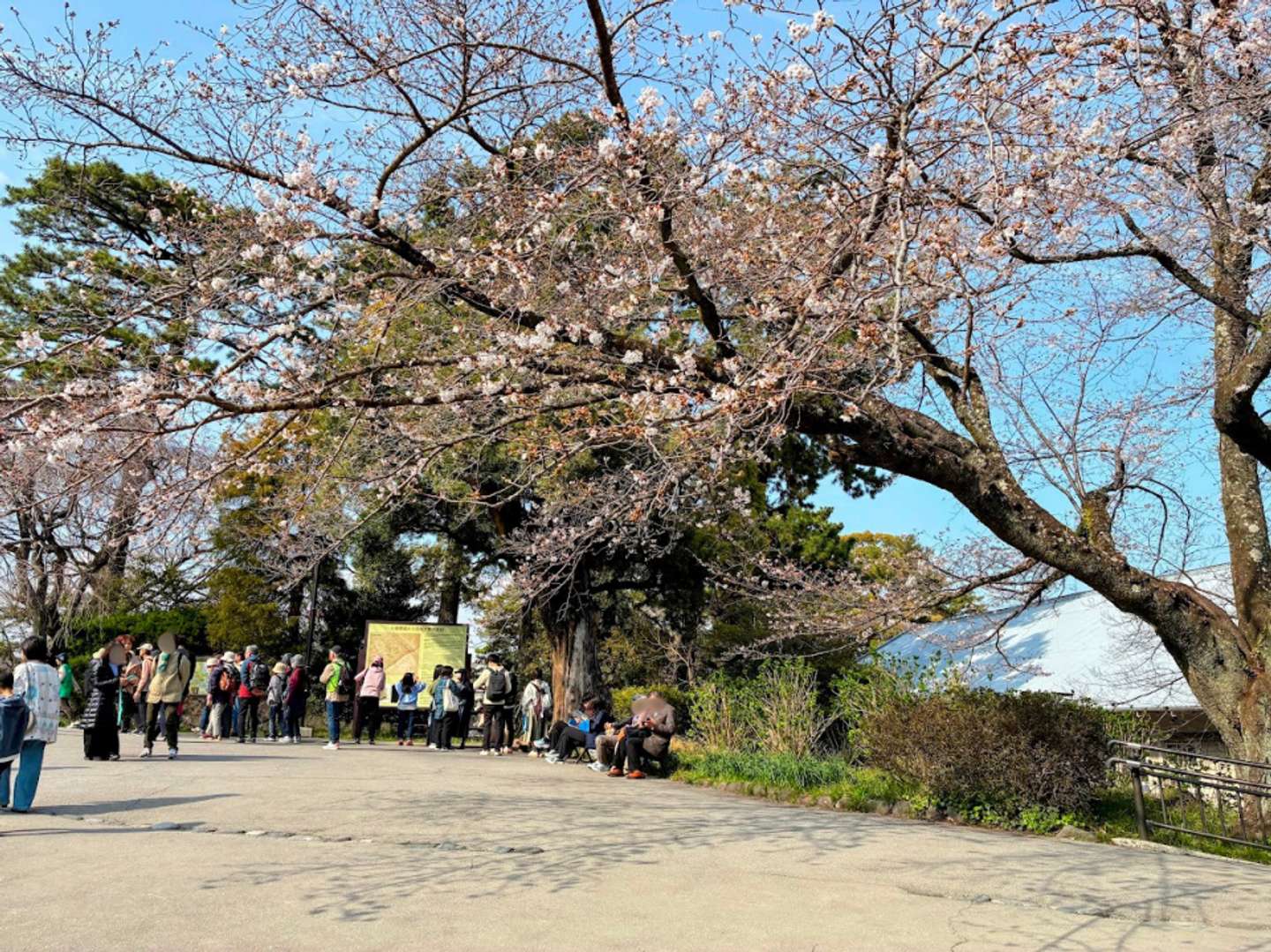 春の陽気たっぷりで心地よい