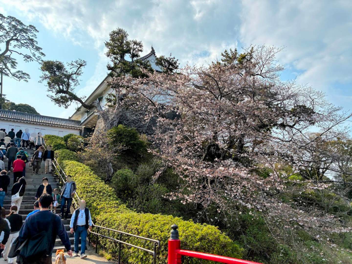 ゆるやかに上るこの道も春の景色