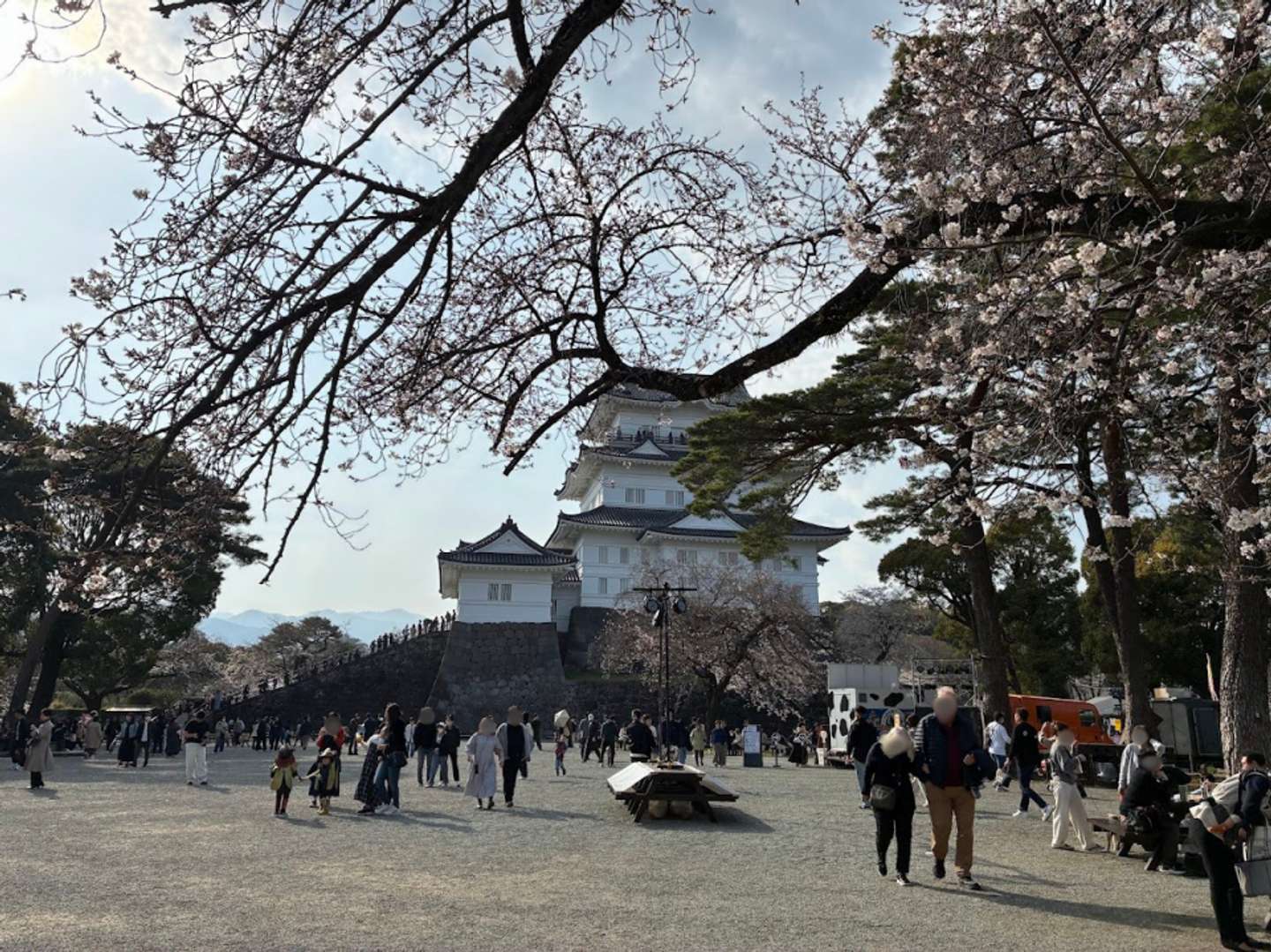 本丸広場もにぎやかな雰囲気