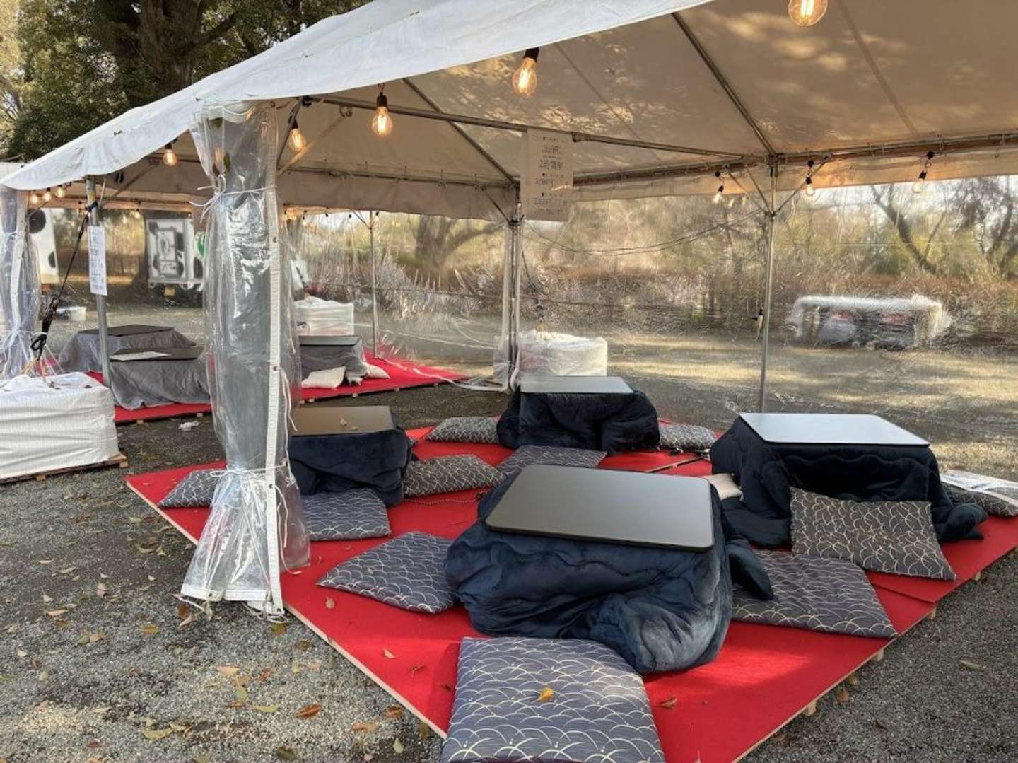 まさかのこたつ。夜のお花見もぬくぬく