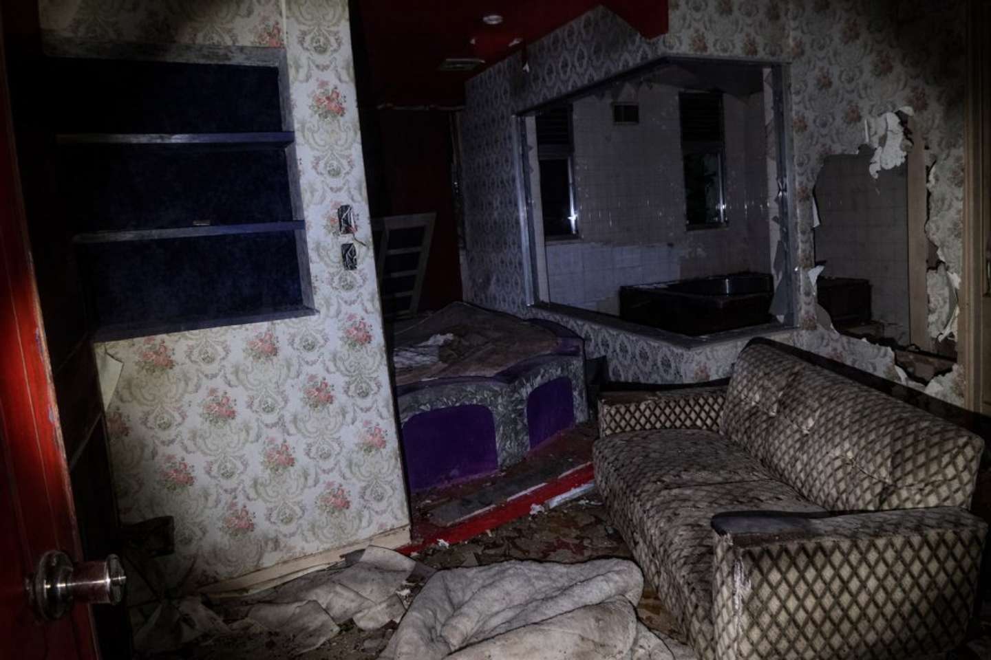 画像はプレスリリースより