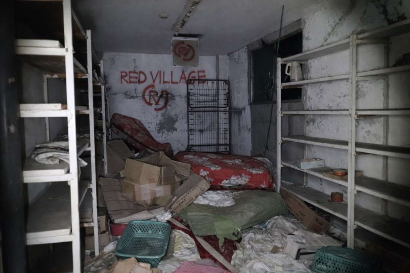 画像はプレスリリースより