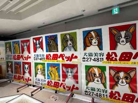 大盛況「例の看板展 in 銀座」3日間で500人を超えた　松田ペット看板の圧倒的魅力を全身で感じる【3／29～4／6】