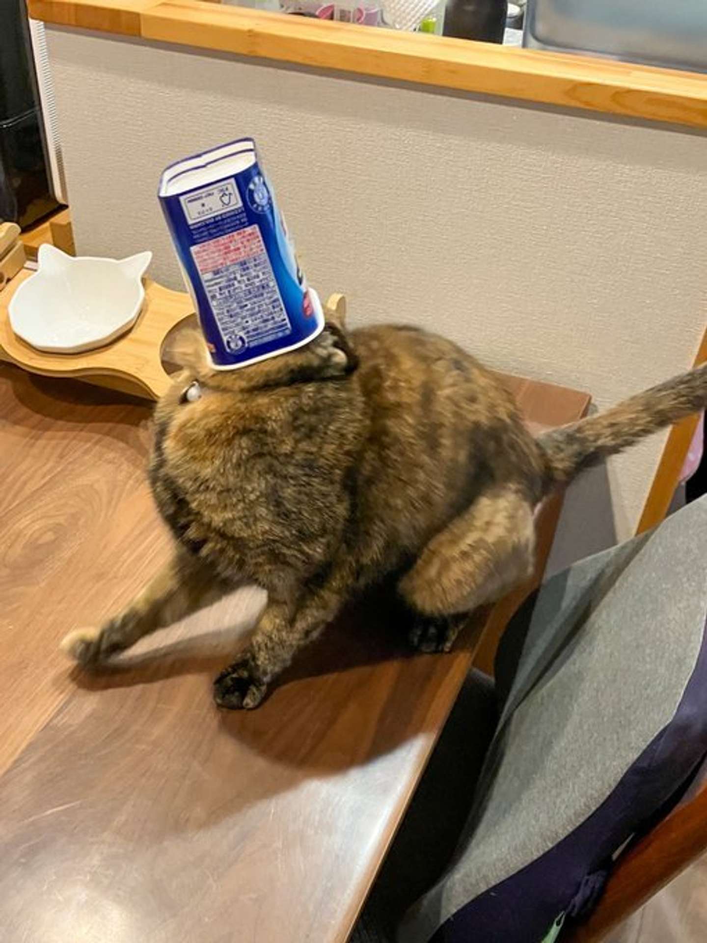 ＠konatsu_komugiさんの投稿より、再掲