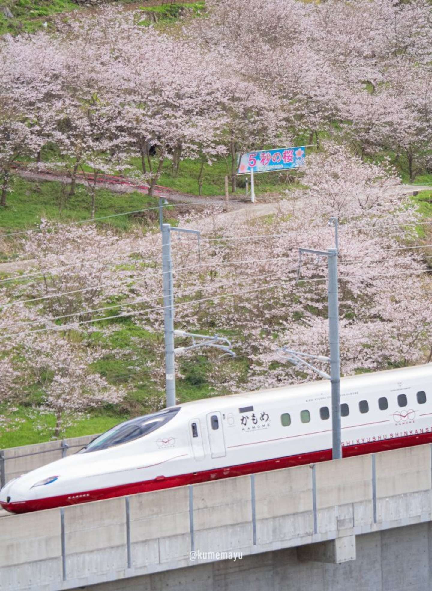 くめ まゆみ（＠okaziya）さんの投稿より、再掲