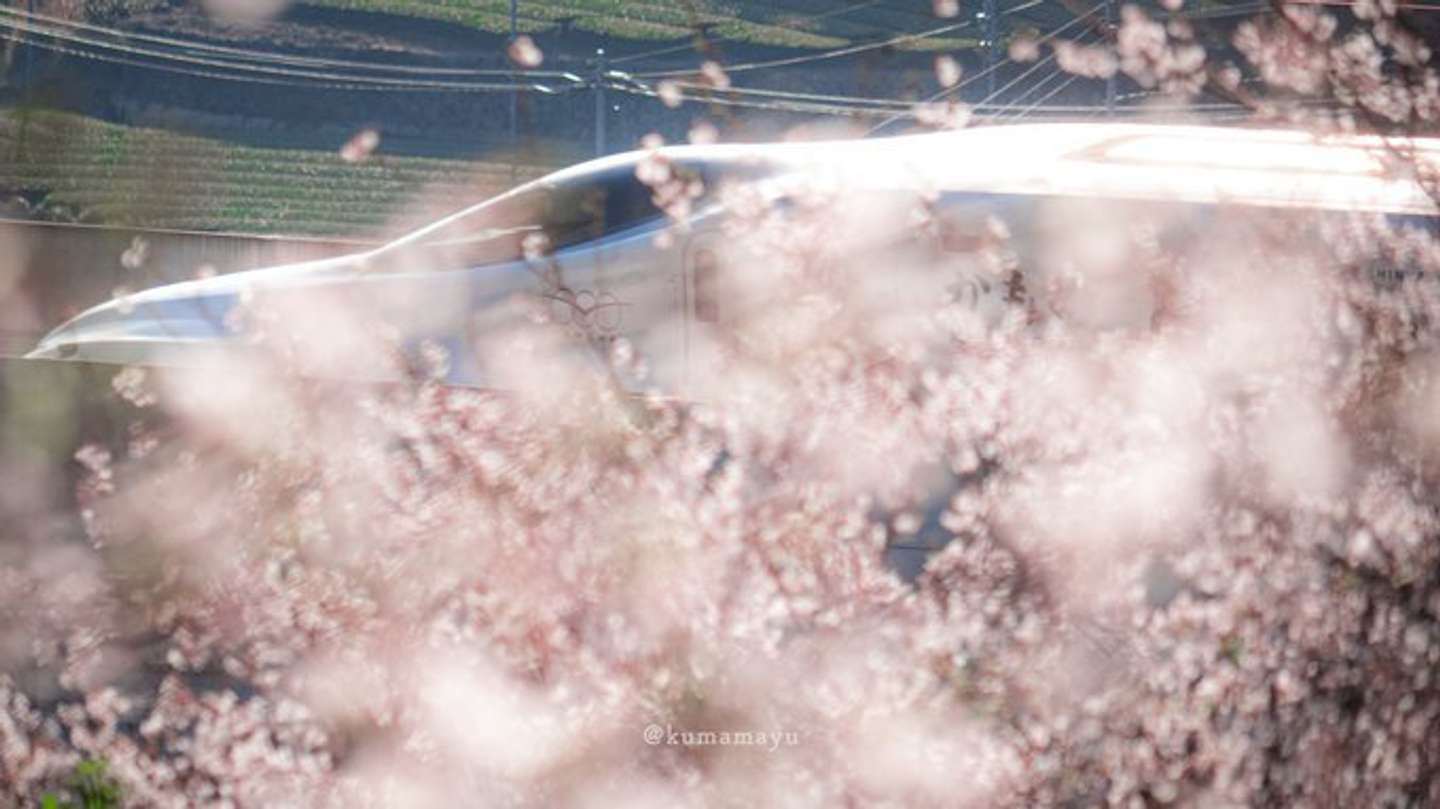 くめ まゆみ（＠okaziya）さんの投稿より