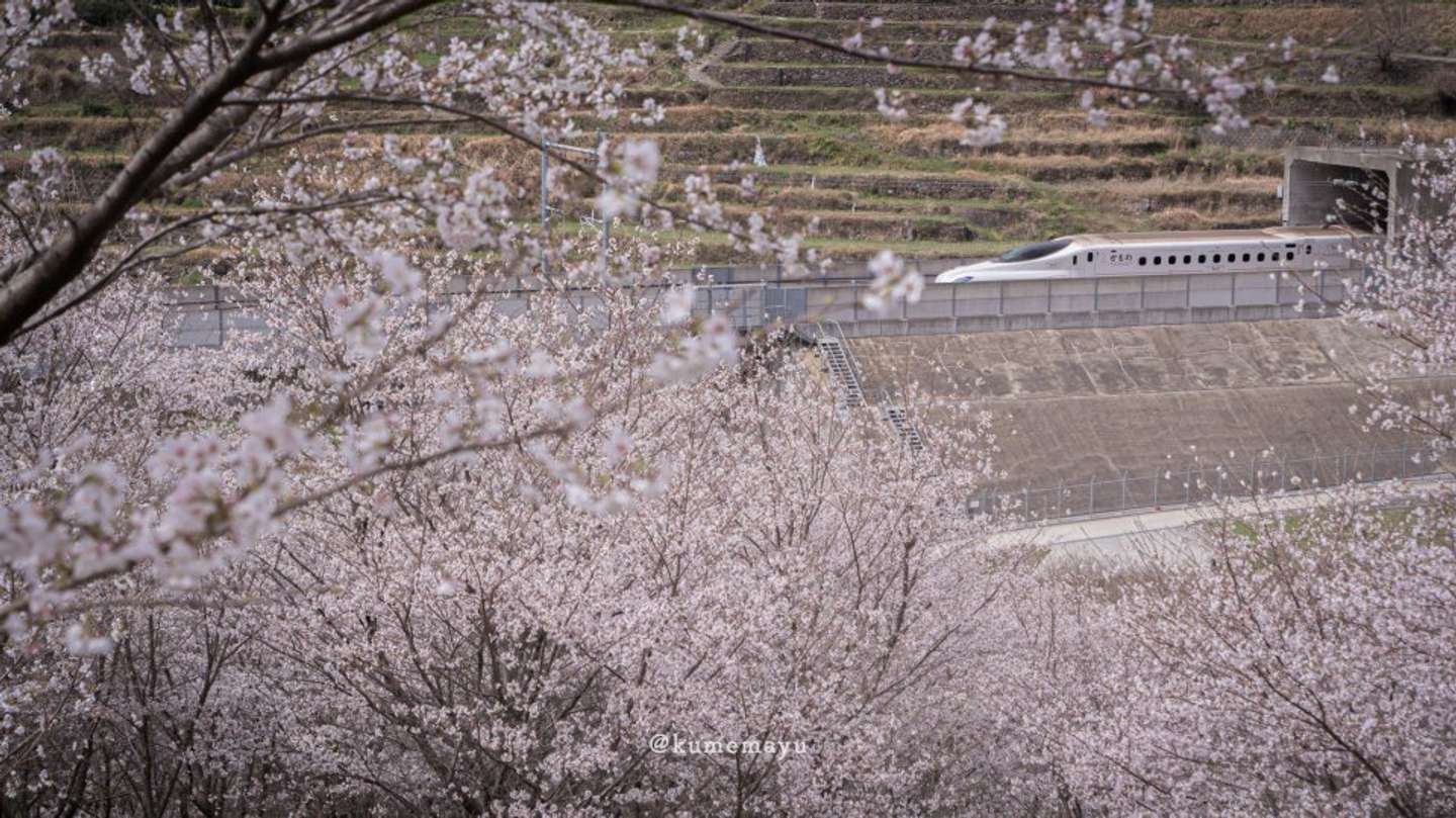 くめ まゆみ（＠okaziya）さんの投稿より