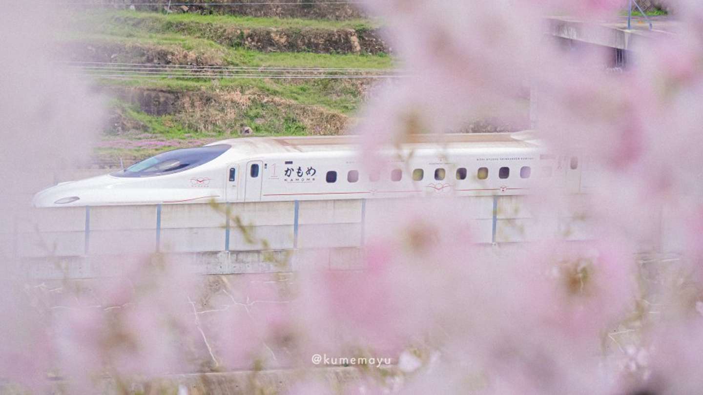 くめ まゆみ（＠okaziya）さんの投稿より