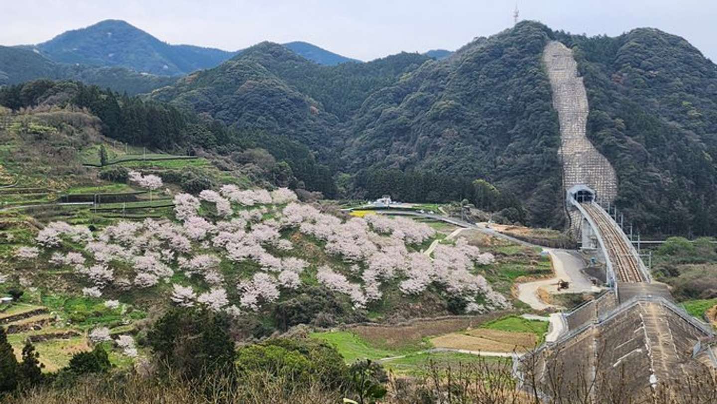 くめ まゆみ（＠okaziya）さんの投稿より