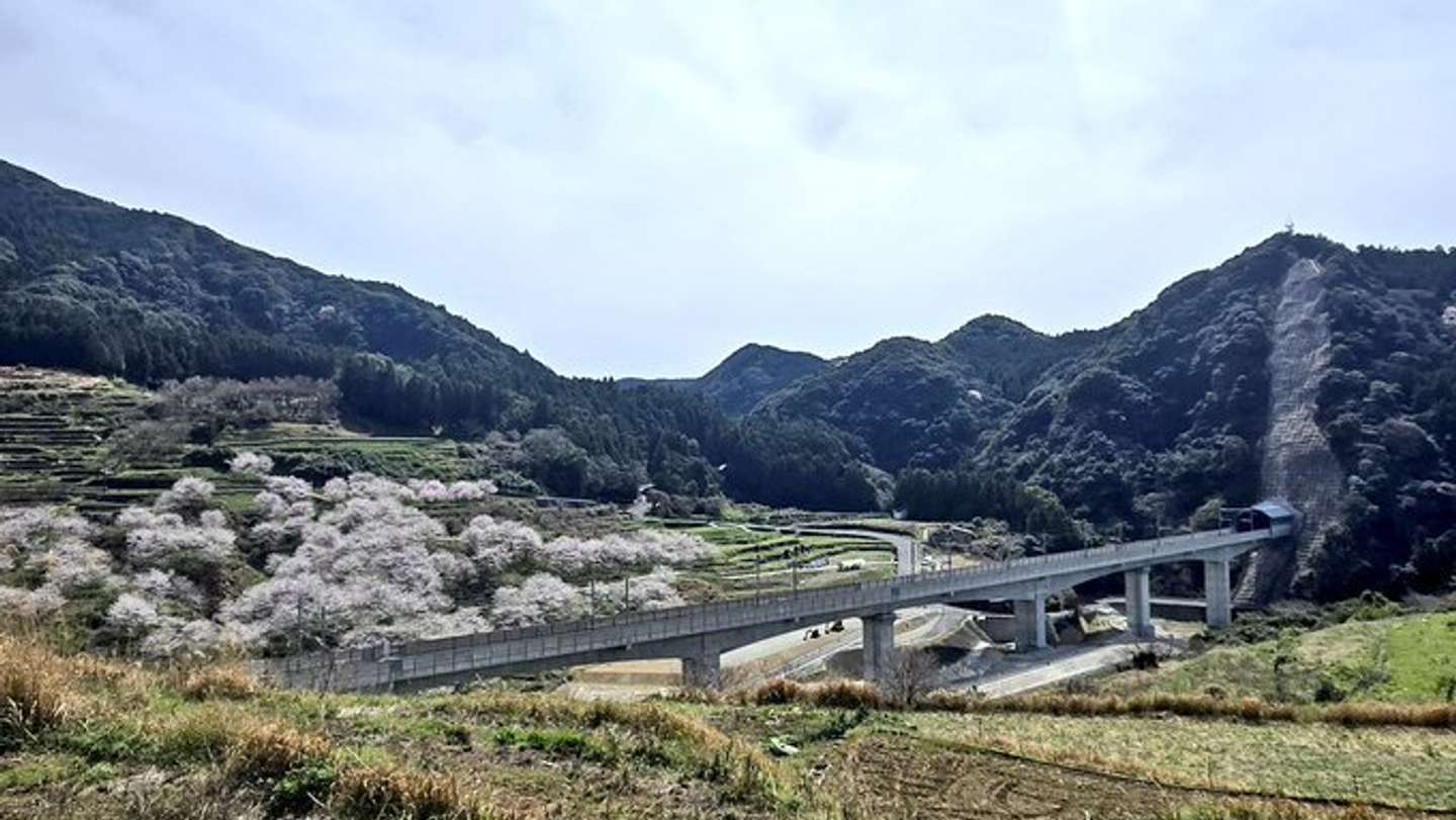 くめ まゆみ（＠okaziya）さんの投稿より