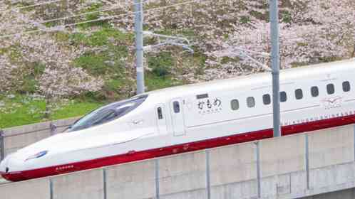 桜との共演時間は、たった5秒　西九州新幹線「かもめ」を迎える〝地元からのおもてなし〟が美しい