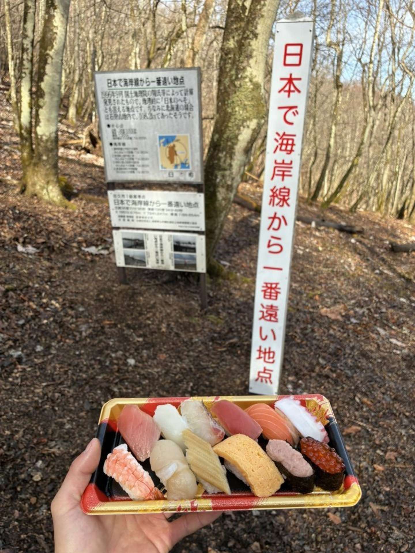 「にーのさん」（＠Ricking926）さんの投稿より