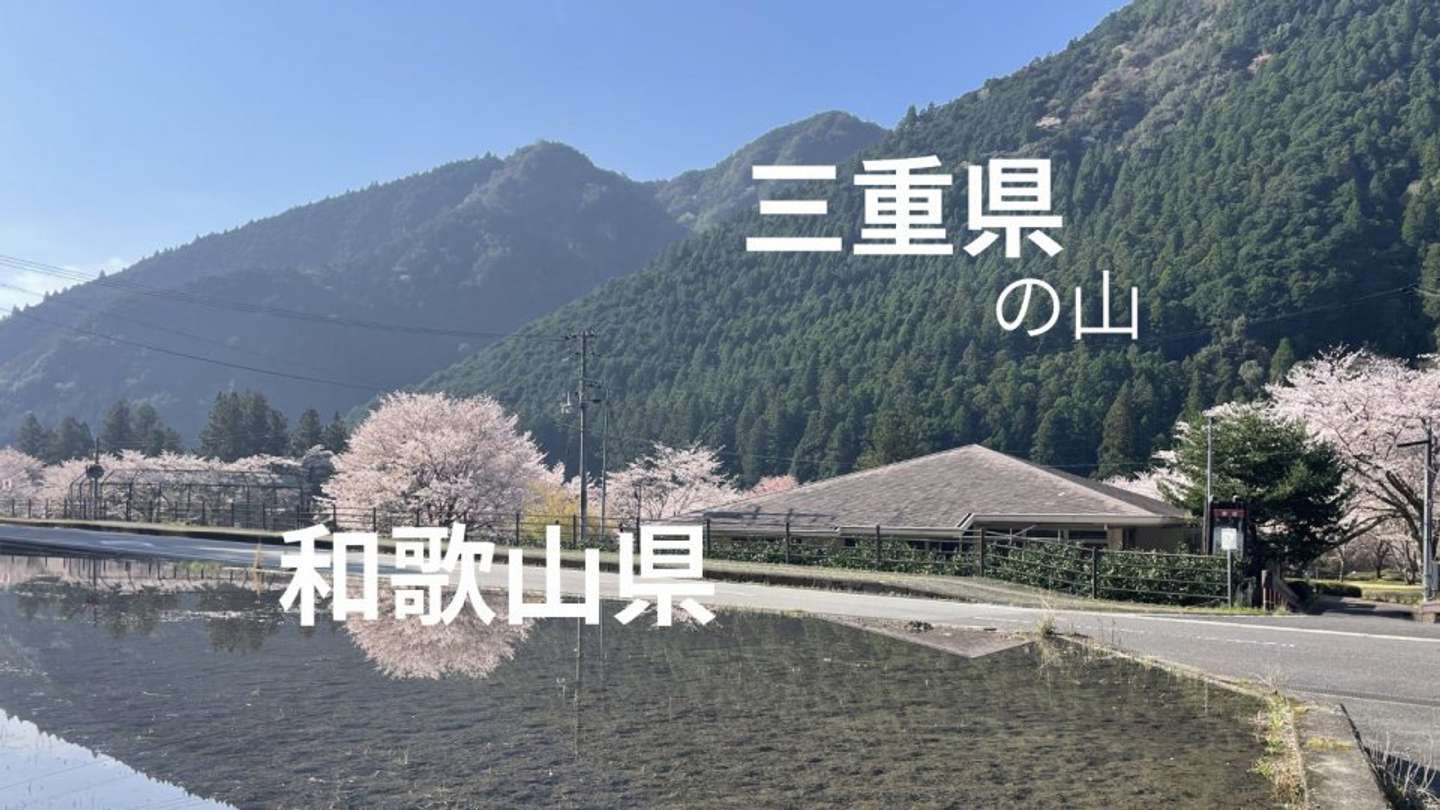 北山村観光協会の公式X（＠kitayamamura）の投稿より
