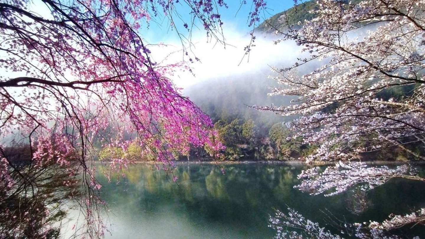 北山村観光協会の公式X（＠kitayamamura）の投稿より
