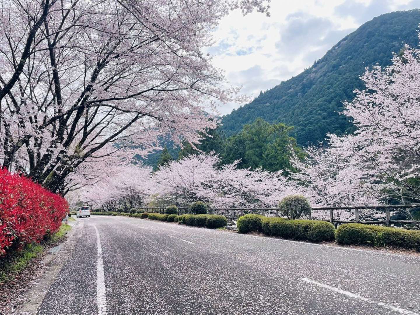 北山村観光協会の公式X（＠kitayamamura）の投稿より
