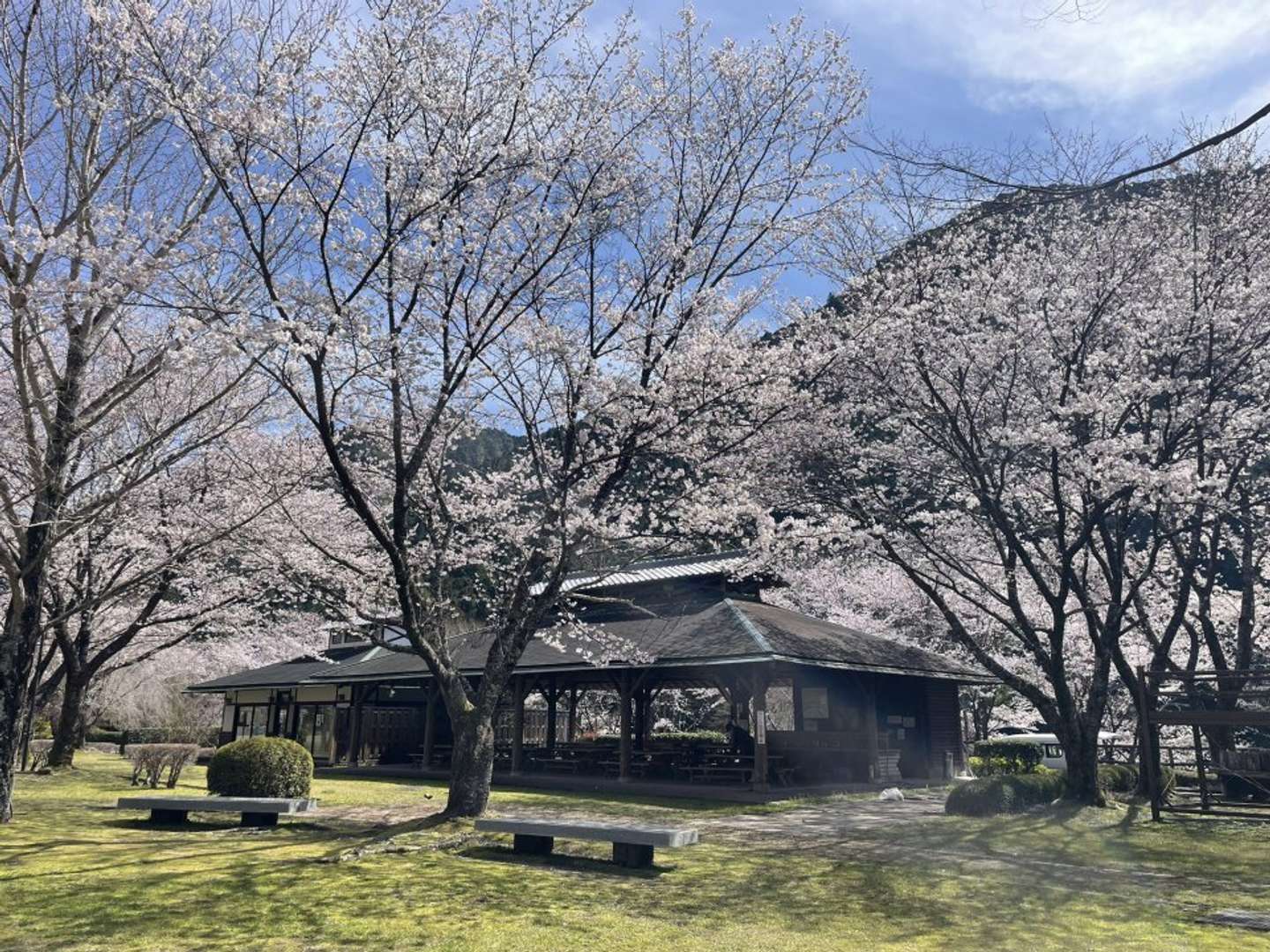 北山村観光協会の公式X（＠kitayamamura）の投稿より
