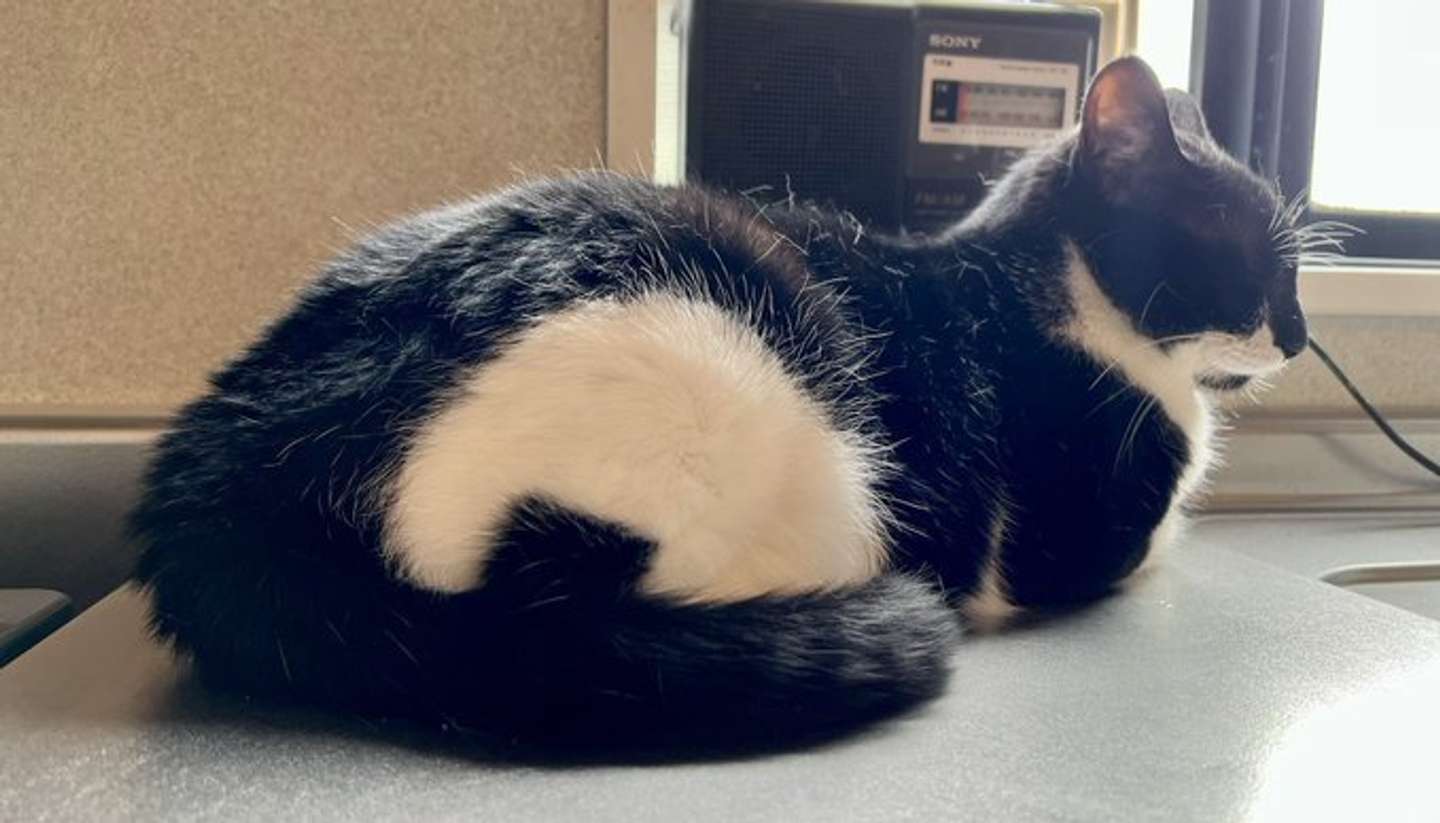 これは...！　なみそ（＠omochi_nam01）さんの投稿より