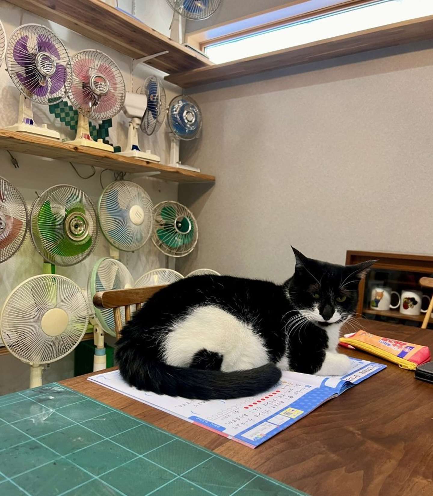 見事な海苔　なみそ（＠omochi_nam01）さんの投稿より