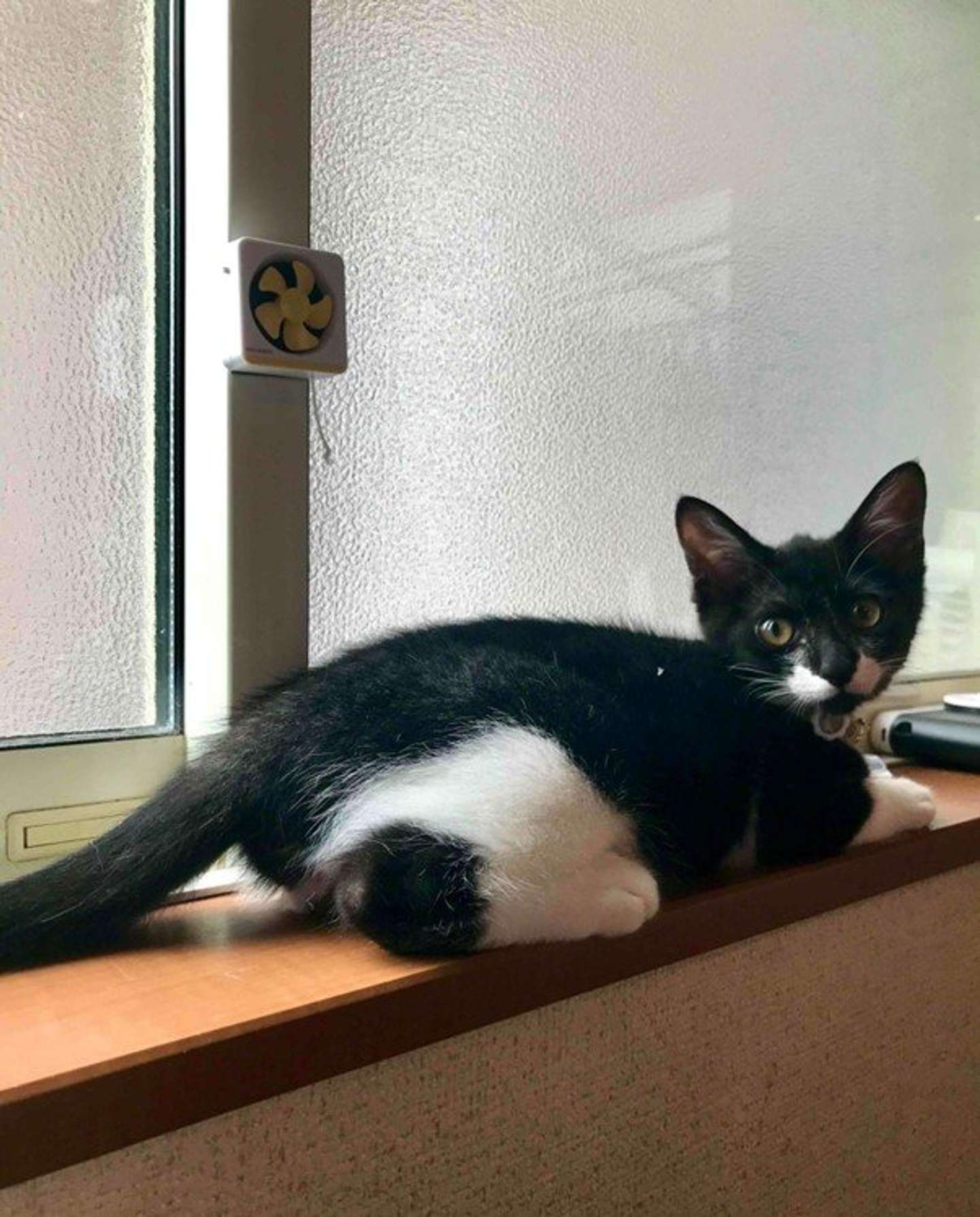 初めて「おにぎり」に気付いた日の写真（なみそさん提供）