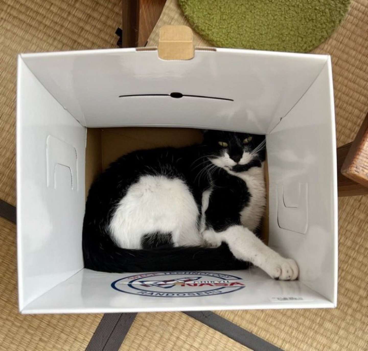 お弁当かな？　なみそ（＠omochi_nam01）さんの投稿より