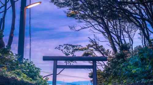 鳥居越しの海の青さがうつくしい　茨城・酒列磯前神社で目撃された神秘的絶景
