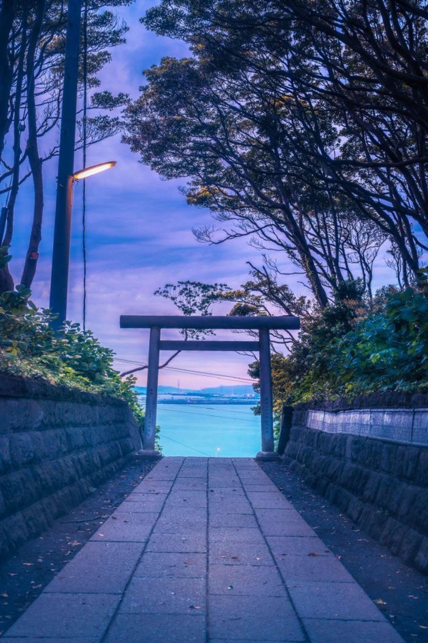 「ポムの蒼。(ポムノアオ)」さん（＠pomu_iyashi）の投稿より
