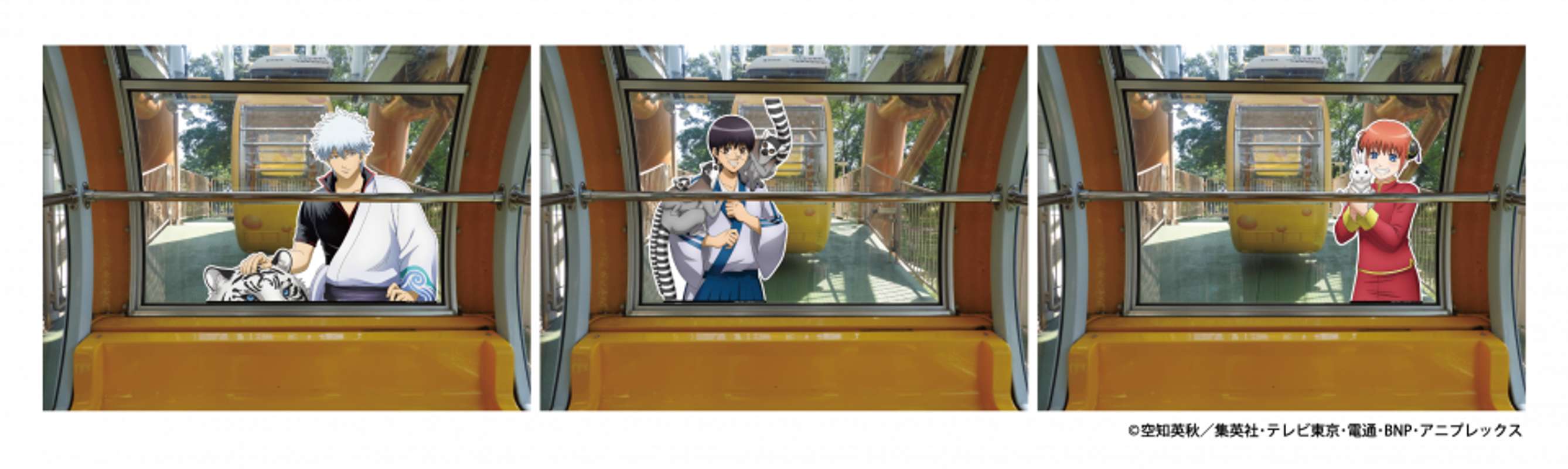銀魂×東武動物公園　観覧車内装色