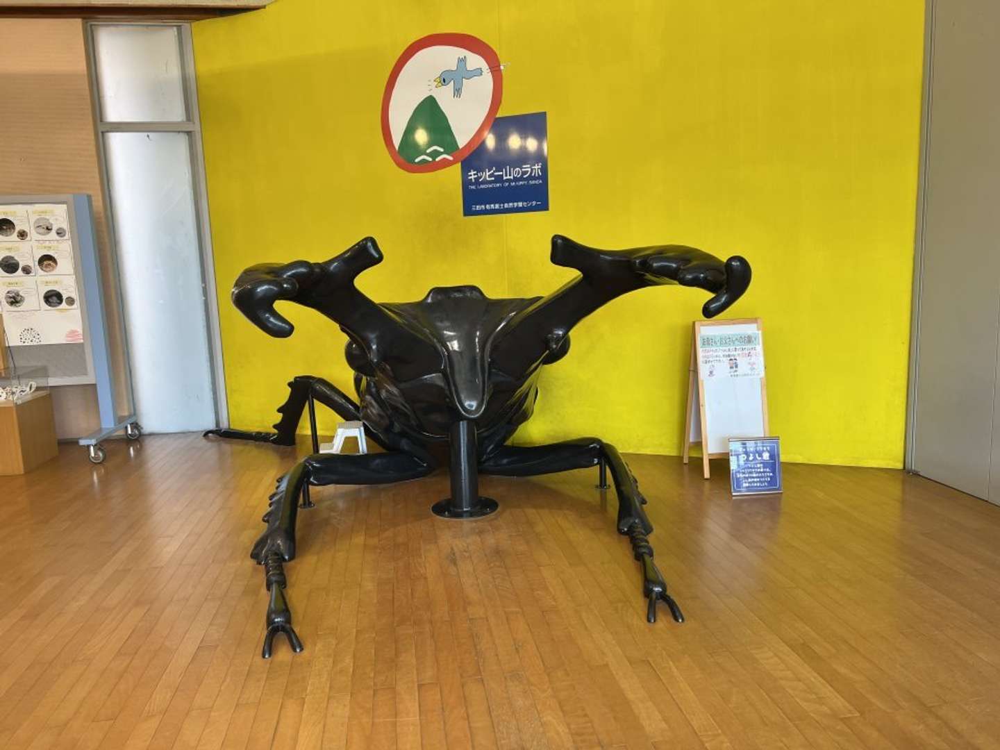 正面から見た「つよしくん」（画像提供：キッピー山のラボ）