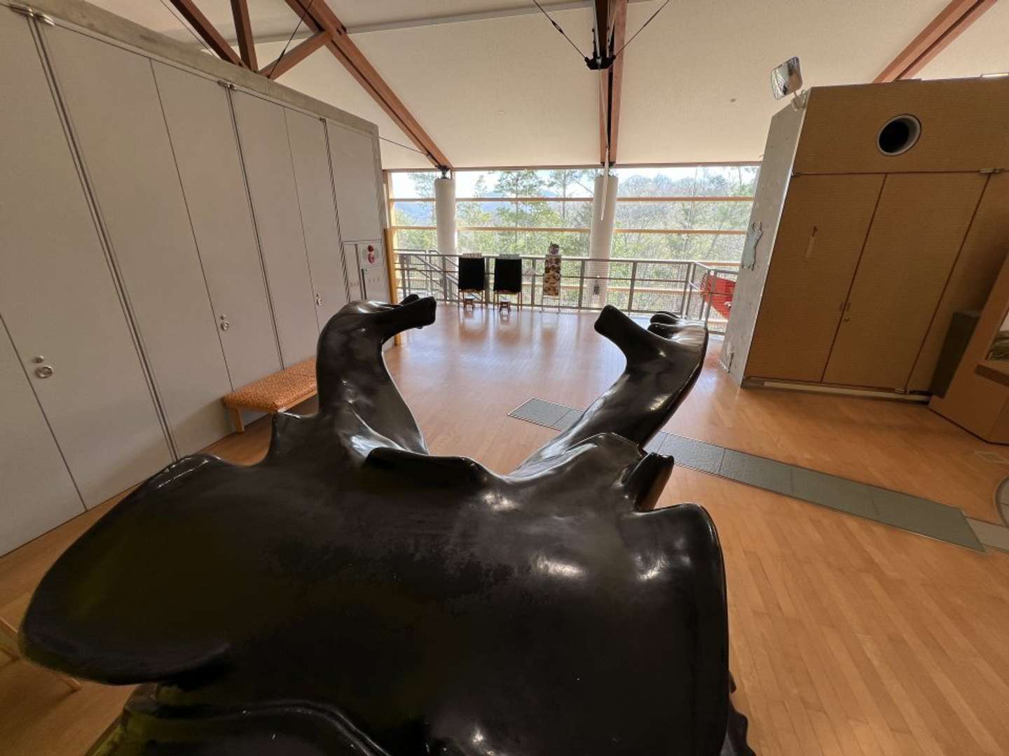 背中に乗れちゃう（画像提供：キッピー山のラボ）