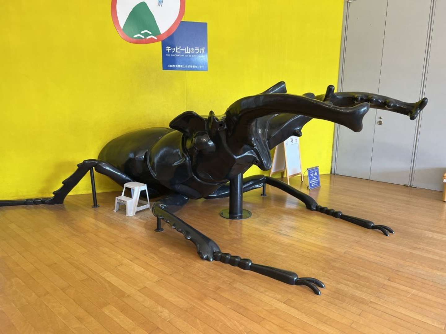 愛されて25年！（画像提供：キッピー山のラボ）