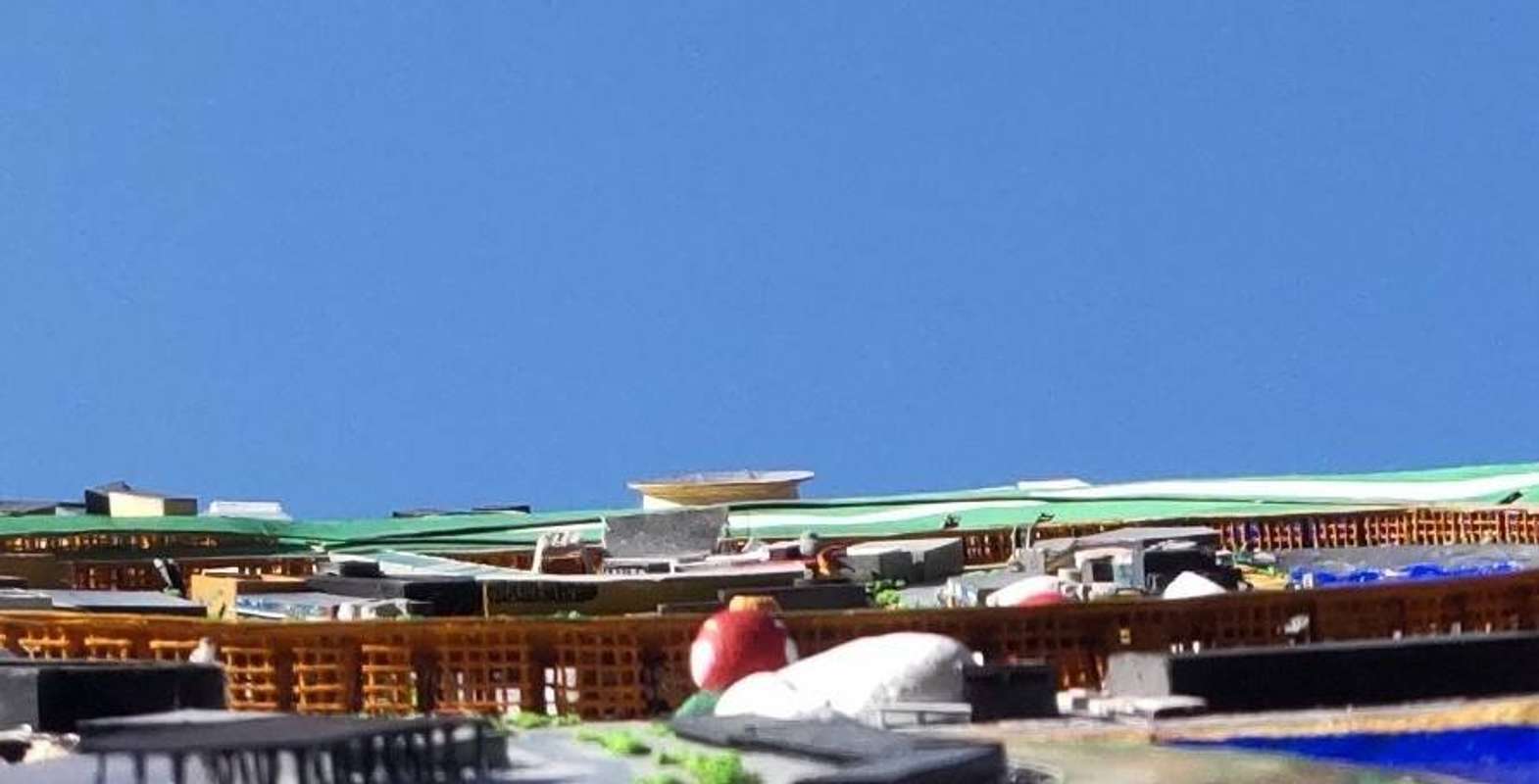 わに牧場＠ダンボール工作（＠waniwani696）さんの投稿より