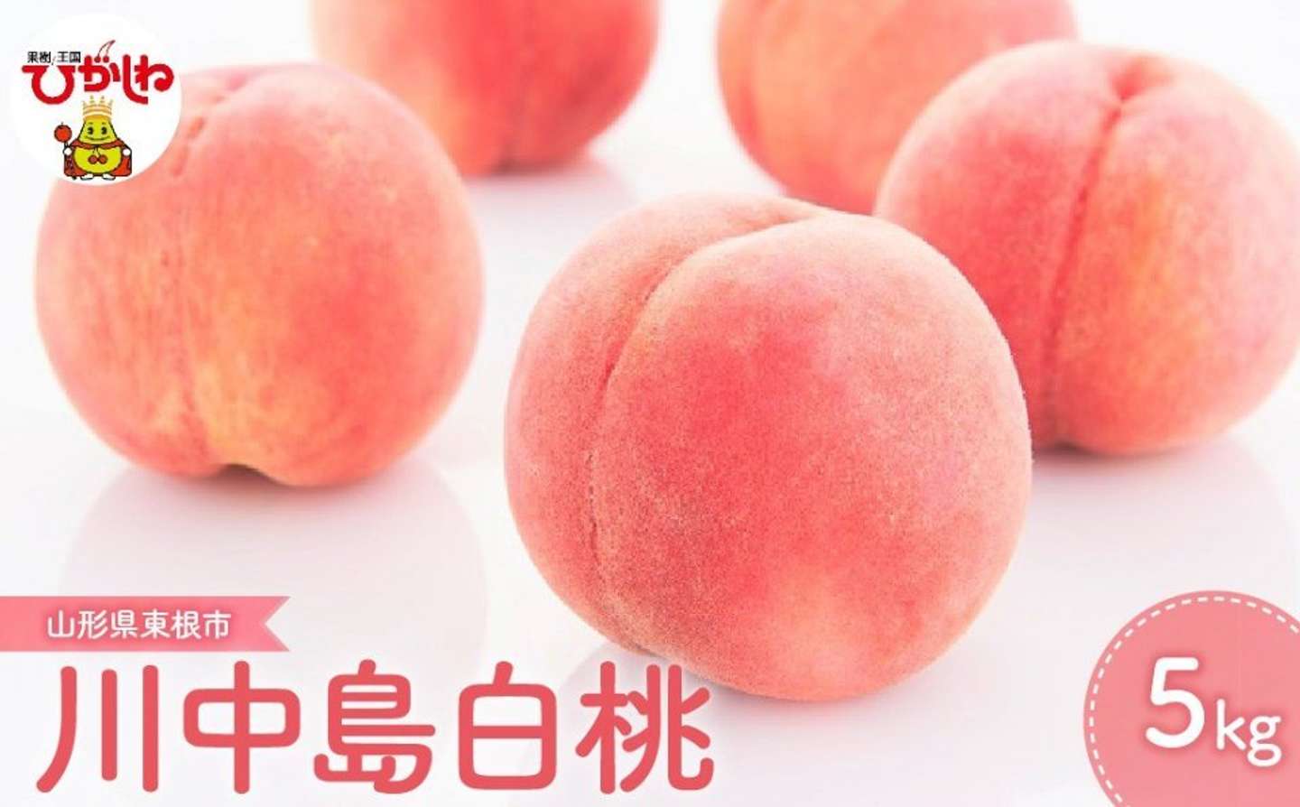 山形県 東根市「2026年もも「川中島白桃」5kg」19000円（ふるさとチョイスより）